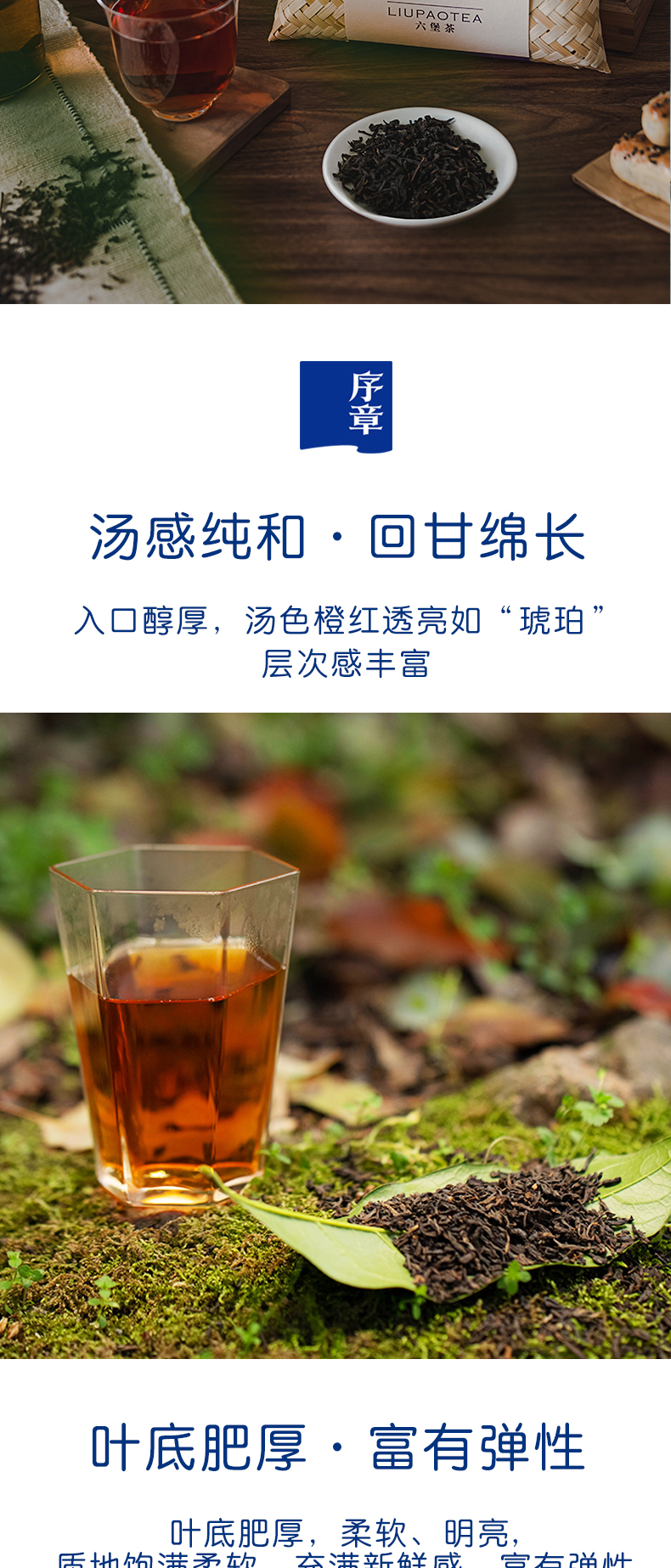 2018六堡茶钱包袋_05.jpg
