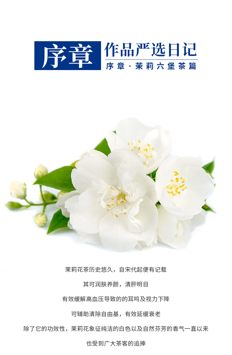 茉莉_01.png